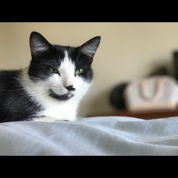 Meet your Posher, Natalia - Picture 1 of 1